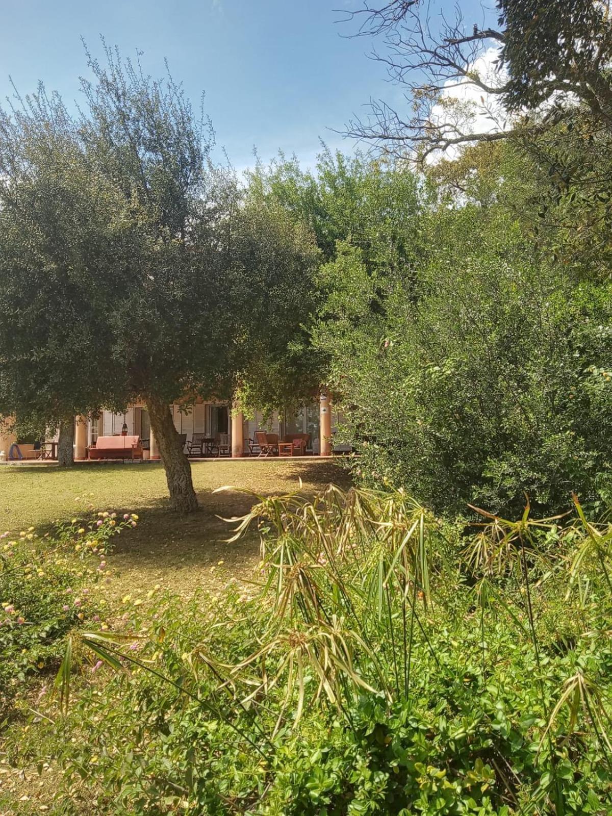 Sotogrande. Estancia Privada En Plena Naturaleza Esterno foto