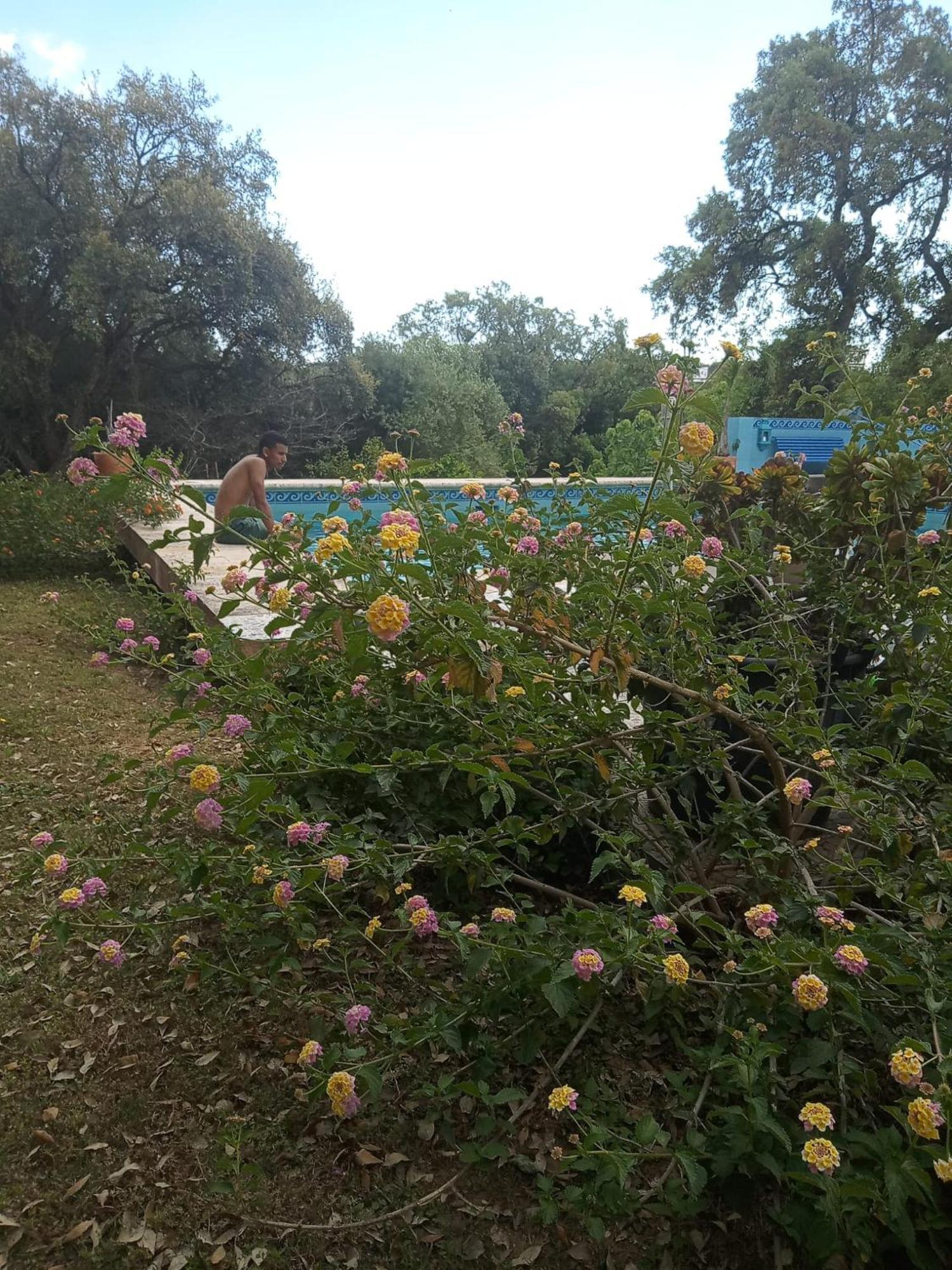 Sotogrande. Estancia Privada En Plena Naturaleza Esterno foto